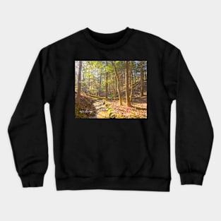 Follow that Creek Crewneck Sweatshirt